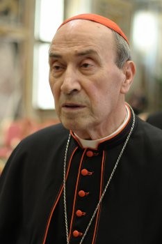 <span class="mw-page-title-main">Velasio de Paolis</span> Catholic cardinal