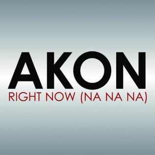 <span class="mw-page-title-main">Right Now (Na Na Na)</span> 2008 single by Akon