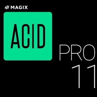 <span class="mw-page-title-main">Acid Pro</span> Digital audio workstation