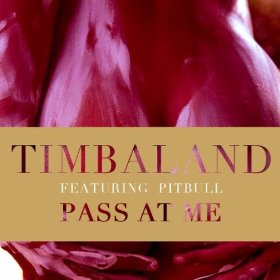 <span class="mw-page-title-main">Pass at Me</span> 2011 single by Timbaland featuring Pitbull and David Guetta