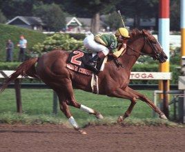 <span class="mw-page-title-main">Mom's Command</span> American-bred Thoroughbred racehorse