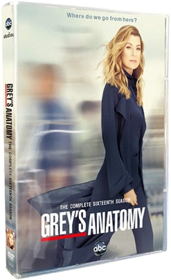 <i>Greys Anatomy</i> season 16 Season of television series