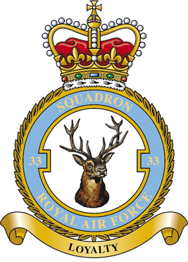 <span class="mw-page-title-main">No. 33 Squadron RAF</span> Flying squadron of the Royal Air Force