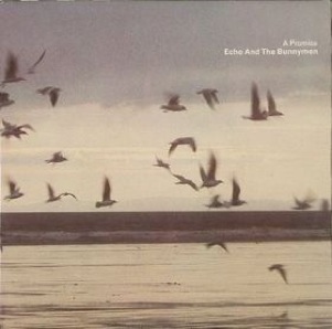 <span class="mw-page-title-main">A Promise (song)</span> 1981 single by Echo & the Bunnymen