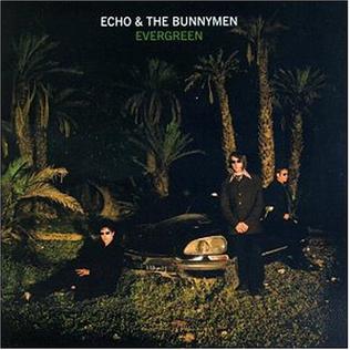 <i>Evergreen</i> (Echo & the Bunnymen album) 1997 studio album by Echo & the Bunnymen