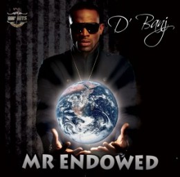 <span class="mw-page-title-main">Mr Endowed</span> 2010 song performed by Dbanj