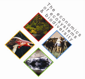 <i>The Economics of Ecosystems and Biodiversity</i> Study