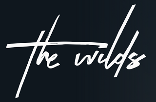 <i>The Wilds</i> (TV series) American drama television series