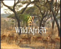 <i>Wild Africa</i> 2001 British TV series or programme