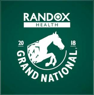 <span class="mw-page-title-main">2018 Grand National</span> Horse race at Aintree Racecourse in England