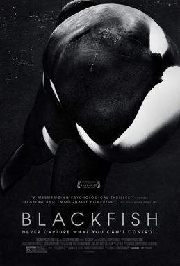 <i>Blackfish</i> (film) 2013 American documentary film