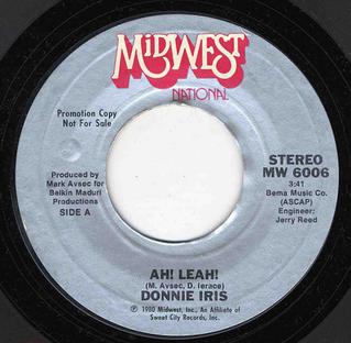 <span class="mw-page-title-main">Ah! Leah!</span> 1980 single by Donnie Iris