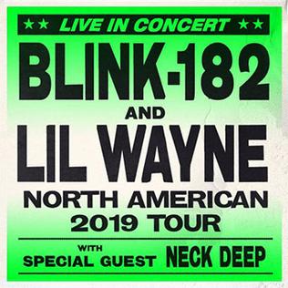 <span class="mw-page-title-main">Blink-182 and Lil Wayne Tour</span> 2019 concert tour