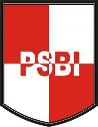 <span class="mw-page-title-main">PSBI Blitar</span> Indonesian football club