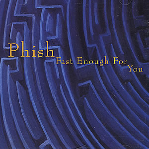 <span class="mw-page-title-main">Fast Enough for You</span> 1993 single by Phish