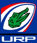 <span class="mw-page-title-main">Paraguay national rugby union team</span>