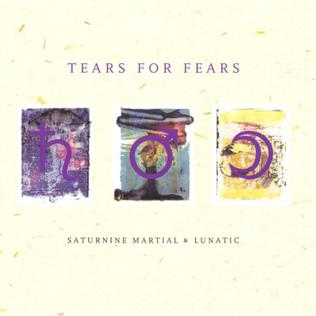 <i>Saturnine Martial & Lunatic</i> 1996 compilation album by Tears for Fears