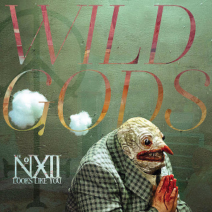 <i>Wild Gods</i> 2019 studio album by The Number Twelve Looks Like You