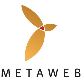 <span class="mw-page-title-main">Metaweb</span> Former American data management company