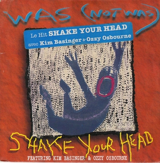 <span class="mw-page-title-main">Shake Your Head</span> 1983 song by Was (Not Was)