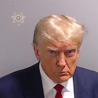 <span class="mw-page-title-main">Mug shot of Donald Trump</span> Booking photograph of the 45th and 47th U.S. president