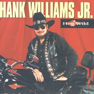 <i>Hog Wild</i> (album) 1995 studio album by Hank Williams Jr.