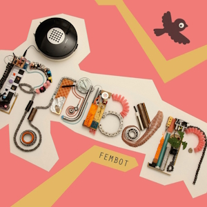 <span class="mw-page-title-main">Fembot (song)</span> 2010 promotional single by Robyn