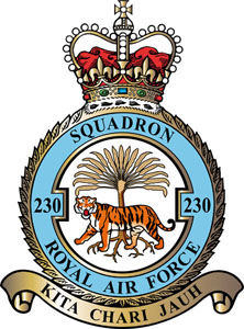 <span class="mw-page-title-main">No. 230 Squadron RAF</span> Flying squadron of the Royal Air Force