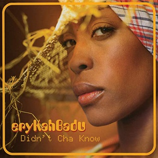 <span class="mw-page-title-main">Didn't Cha Know?</span> 2001 single by Erykah Badu