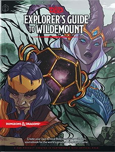 <i>Explorers Guide to Wildemount</i> Tabletop role-playing game supplement for Dungeons & Dragons