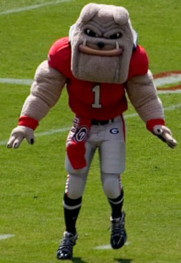 <span class="mw-page-title-main">Hairy Dawg</span> Costumed mascot of the University of Georgia, USA