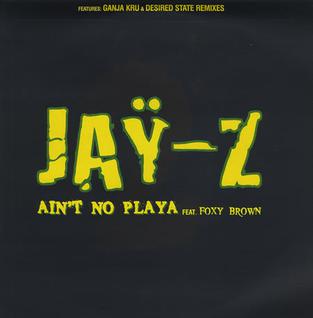 <span class="mw-page-title-main">Ain't No Nigga</span> 1996 single by Jay-Z featuring Foxy Brown