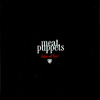 <span class="mw-page-title-main">Lake of Fire (song)</span> 1994 single by Meat Puppets