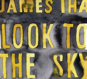 <i>Look to the Sky</i> 2012 studio album by James Iha