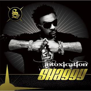 <i>Intoxication</i> (Shaggy album) 2007 studio album by Shaggy