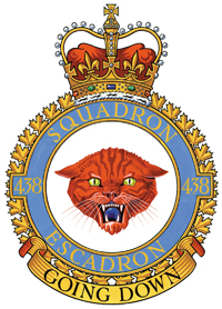 <span class="mw-page-title-main">438 Tactical Helicopter Squadron</span> Unit of the Royal Canadian Air Force