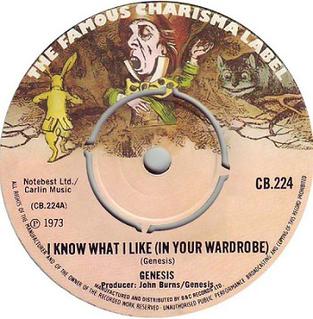 <span class="mw-page-title-main">I Know What I Like (In Your Wardrobe)</span> 1974 song by Genesis