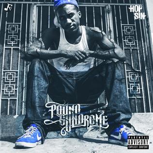 <i>Pound Syndrome</i> 2015 studio album by Hopsin