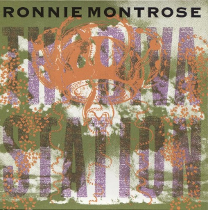 <i>The Diva Station</i> 1990 studio album by Ronnie Montrose