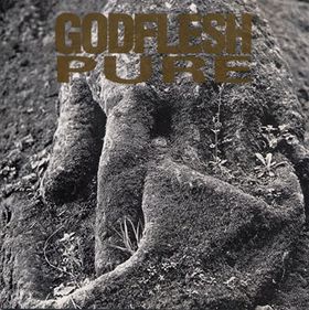 <i>Pure</i> (Godflesh album) 1992 studio album by Godflesh