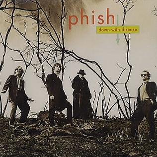 <span class="mw-page-title-main">Down with Disease</span> 1994 single by Phish