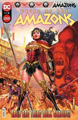 <span class="mw-page-title-main">Trial of the Amazons</span> Comic book storyline