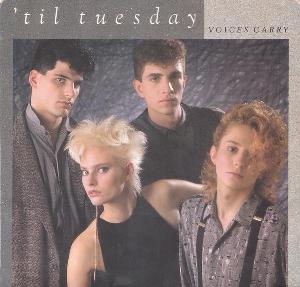 <span class="mw-page-title-main">Voices Carry</span> 1985 single by Til Tuesday