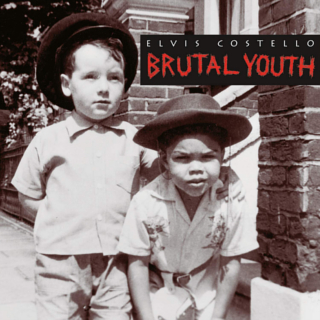 <i>Brutal Youth</i> 1994 studio album by Elvis Costello