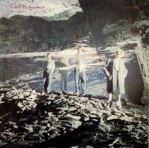 <span class="mw-page-title-main">Silver (Echo & the Bunnymen song)</span> 1984 single by Echo & the Bunnymen