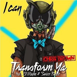 <span class="mw-page-title-main">I Can Transform Ya</span> 2009 single by Chris Brown featuring Lil Wayne and Swizz Beatz