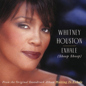 <span class="mw-page-title-main">Exhale (Shoop Shoop)</span> 1995 single by Whitney Houston