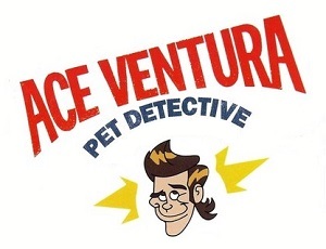 <i>Ace Ventura: Pet Detective</i> (TV series) Animated series, 1995–1997, 1999–2000