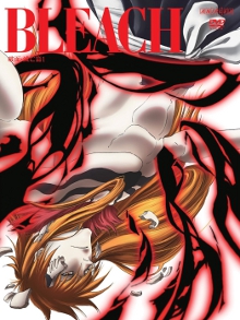 <i>Bleach</i> season 14 Season of television series