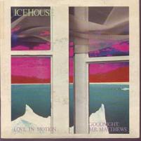 <span class="mw-page-title-main">Love in Motion (song)</span> 1981 single by Icehouse